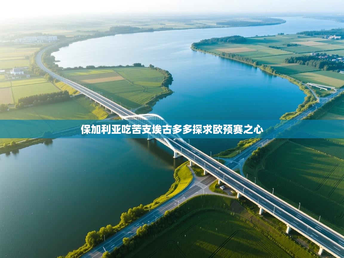 保加利亚吃苦支埃古多多探求欧预赛之心  第2张