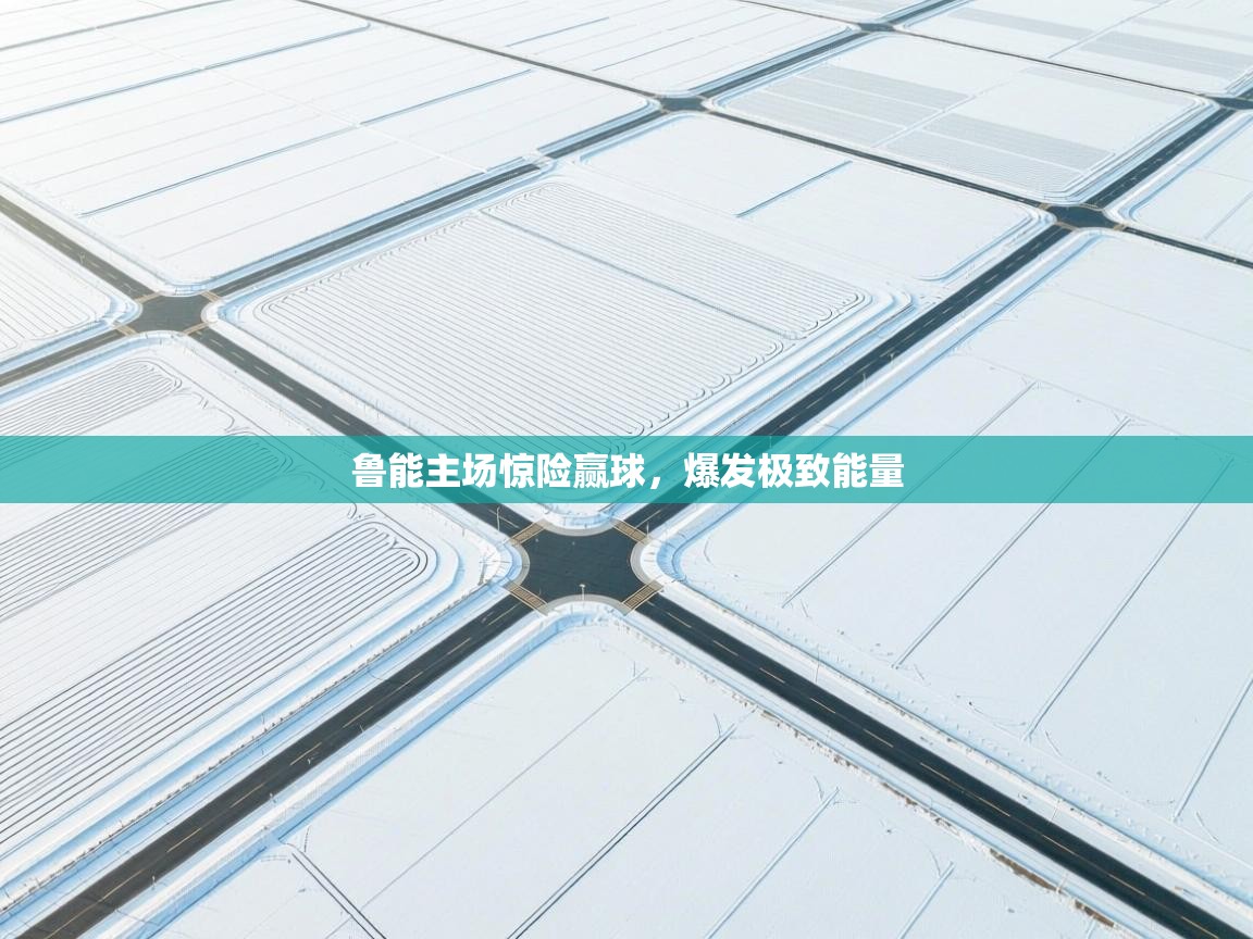 鲁能主场惊险赢球，爆发极致能量  第2张